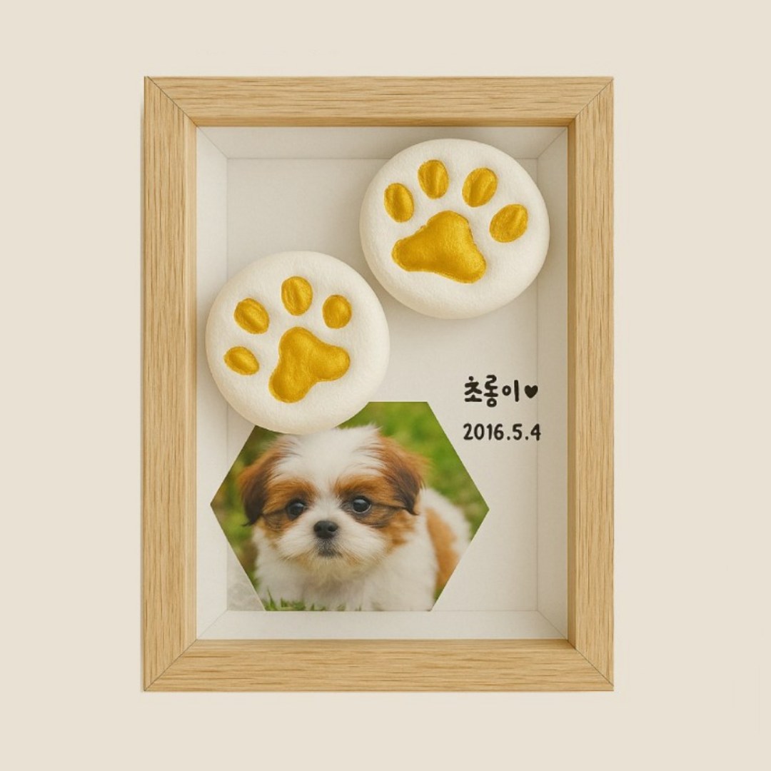 반려동물 발도장 DIY 세트 물감 3종
