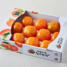 [로켓프레시] 효성팜 청도반시