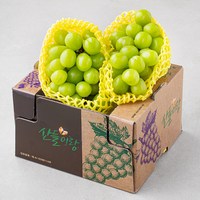 [로켓프레시] 산들이랑 비파괴당도선별 샤인머스캣 이미지