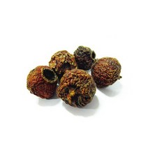 보담다소니 국내산 산사, 500g, 1개