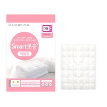 반복사용가능 제습 탈취 곰팡이억제, 1개입, 1봉