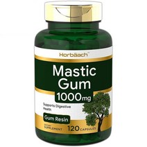Horbaach 매스틱 검 1000mg 120정, 1개