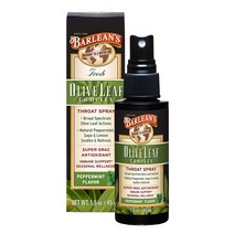 바린스 올리브 리프 컴플렉스 인후 스프레이 페퍼민트, 1개, 45ml