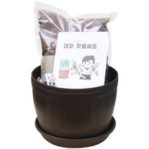 베란다레시피 쉐프의 키친가든세트 대파 텃밭세트, 1세트