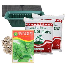 행복한세상 텃밭가꾸기 중 들깨, 1개
