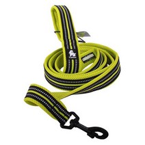 트루러브 대형견 리드줄 그린, L (200cm), 1개