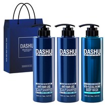 다슈 데일리 한방 두피 골드 샴푸 500ml x 2개 + 비타플렉스 올인원 바디워시 500ml + 쇼핑백, 1세트