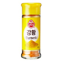 오뚜기 강황 향신료, 48g, 1개