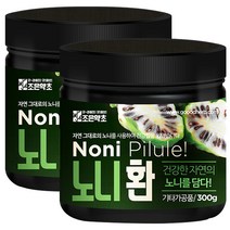 조은약초 굿허브 노니 환, 300g, 2개
