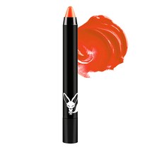 르나르도 립 크레용 2g, T06 트로피컬 오렌지, 1개