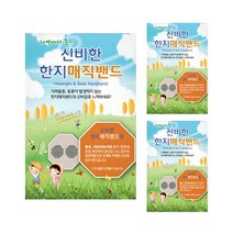 금황제지 한지매직밴드 반창고 90p, 3개