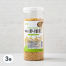 대구농산 제주산 콩나물콩 풍산콩, 1.1kg, 3통