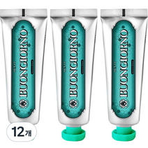 덴티본조르노 민트향 구취케어 치약, 100g, 12개