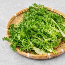 친환경 치커리, 100g, 1봉
