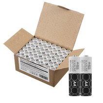 홈플래닛 알카라인 AA건전지, 48개입, 1박스