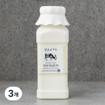 영준목장 수제 요거트 플레인, 3개, 500ml