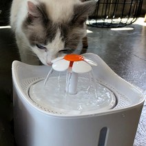 에코펫위드 강아지 고양이 정수기 1.8L, DL-P30, 화이트