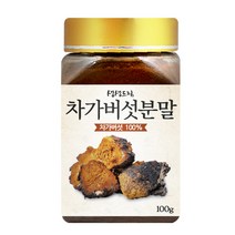 생생드림 차가버섯 분말, 100g, 1개