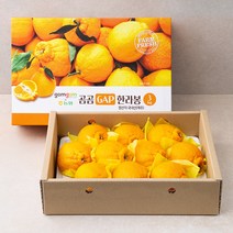 곰곰 x 농협 GAP인증 한라봉, 3kg(9~12입), 1박스
