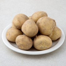 감자김동인 저렴한곳 검색결과