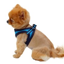 리얼펫 4계절슬림 조끼하네스, BLUE