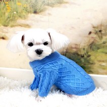 블랙스완 반려동물 스웨터, 블루