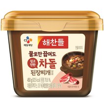 해찬들 물로만 끓여도 깊고 진한 차돌된장, 450g, 1개