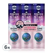히말라야 핑크솔트 담은 치약 브라이트닝 화이트라벨 바이옴, 100g, 6개
