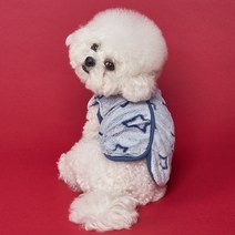 도그아이 강아지옷 별수면조끼, 네이비