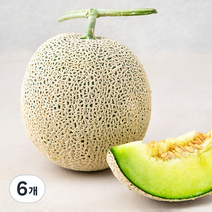 곡성 맘에쏙 멜론, 1.3kg, 6개