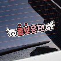 [초보운전]초보윙즈P, 컬러
