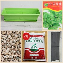 행복한세상 텃밭가꾸기 대 그린 들깨, 1개