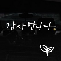 1AM 캘리그라피 자동차 스티커 + 주유구 스티커, 감사합니다, 새싹 흰색, 1개