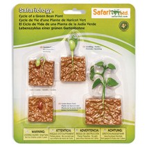 사파리엘티디 피규어 662416 콩의생장과정 Life Cycle of a Green Bean Plant, 1개