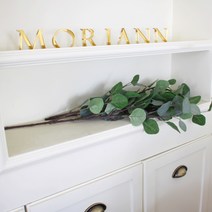 모리앤 인테리어 조화 정열의 유칼립투스 가지, 혼합 색상