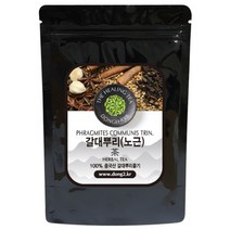 동이약초 중국산 갈대뿌리 노근, 1kg, 1개