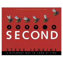 Just a Second: A Different Way to Look at Time Paperback, Houghton Mifflin Harcourt