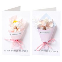 프로방스코리아 미니 드라이플라워 카드 C세트, 혼합 색상, 1세트