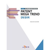 PATENT MEGA TREND 전력/원자력:2016 국가 특허전략 청사진 구축 사업, 진한엠앤비, 특허청,한국지식재산전략원 공저