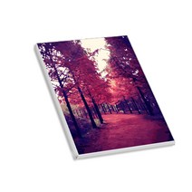 헬로페인팅 반하지오 그림그리기 DIY 도면 가을시리즈07 + 3p 랜덤 발송, 혼합 색상