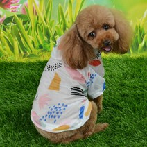 슈퍼식스 반려동물 과일 자외선차단 바람막이, 혼합패턴