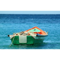 UVDS 아트보드 그물망 가득 보트, 1개