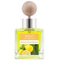 바이향 리프레싱 차량용 방향제 100ml, 레몬 유칼립투스, 1개