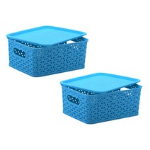 앤티스 손잡이형 리빙박스 + 뚜껑 S, 블루, 2세트