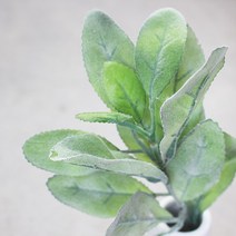 블랙앤화이트 인테리어 조화 꽃화분 림스가지, 그린, 1개