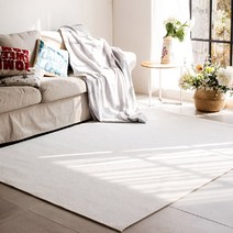 인룸 베이직 솔리드 러그카페트