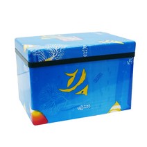 엠에스코리아 스티로폼 아이스박스, 물고기무늬, 20L