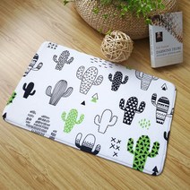 뮤엘 심플일러스트 현관매트, 선인장