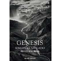 GENESIS : 세바스티앙 살가도 제네시스, 마로니에북스, 세바스티앙 살가도 등저/김영란 역