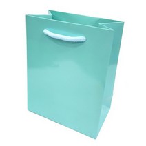 바미샵 무지 미니쇼핑백 소, 민트, 100개